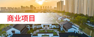 山東泰安東岳泰山衡器有限公司